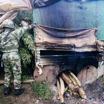 SE DESTRUYE LABORATORIO PARA EL PROCESAMIENTO DE MARIHUANA EN ZONA RURAL DE TORIBÍO, CAUCA