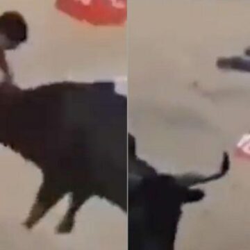 HOMBRE MURIÓ TRAS SER EMBESTIDO POR UN TORO, EN CIÉNAGA DE ORO