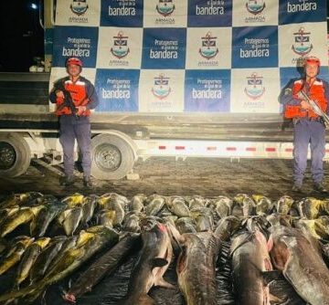 500 kG DE PESCA ILEGAL, FUERON INCAUTADOS EN ISLA GORGONA