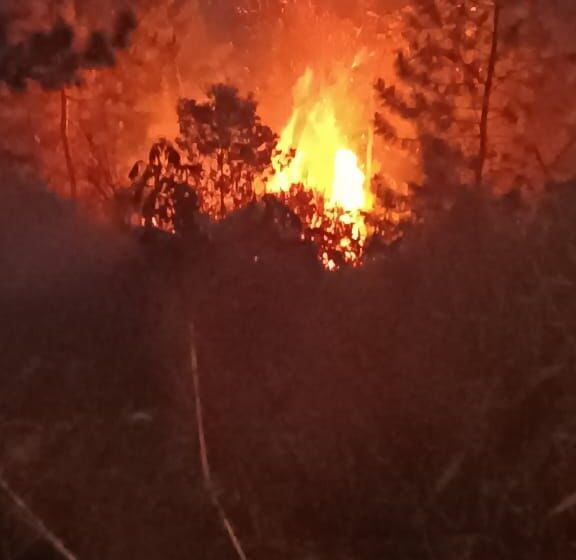 Daño eléctrico causó incendio forestal en La Meseta y San Rafael, en Popayán