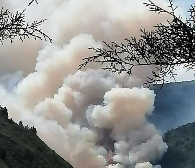 Emergencia en Argelia, Cauca, por incendio forestal