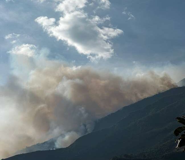 Bomberos de Argelia piden ayuda para combatir Incendio forestal