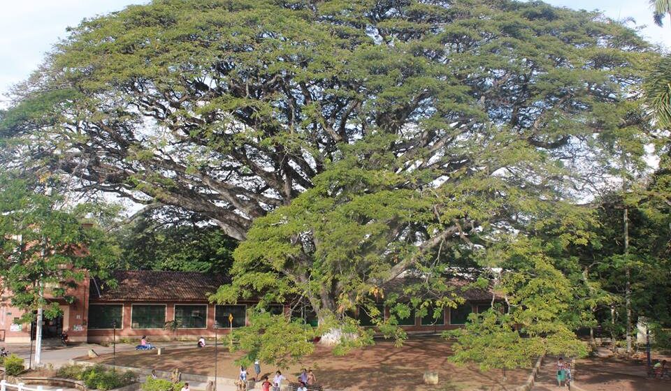 Santander de Quilichao: dos habitantes de calle asesinados