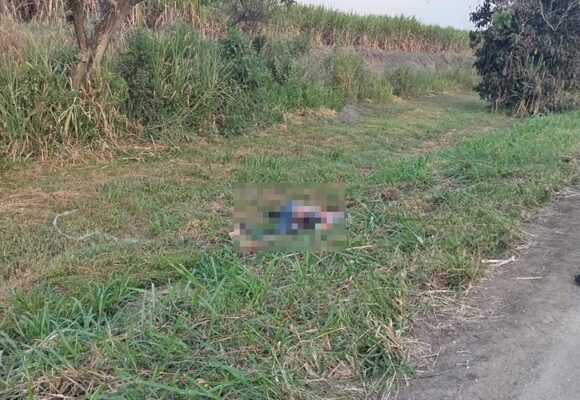 Comunidades reportan el hallazgo de un cadáver a un costado de la vía Panamericana entre Santander de Quilichao y Cali